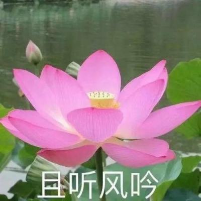 杨贵妃传媒精品入口7