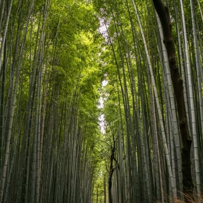 速览！10月汽车圈30件大事要闻 | 车事月报